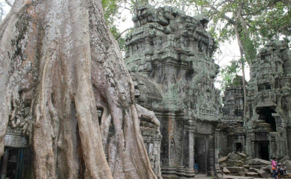 Tempel Ta Prohm in Kambodscha