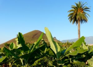 Teneriffa Tipps für den Urlaub