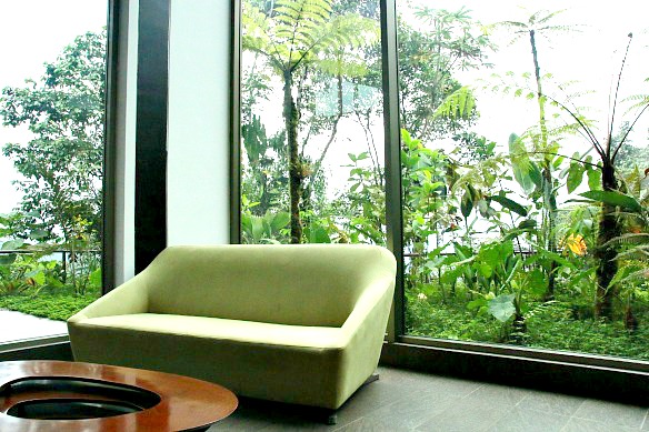 Sofa-vor-grün