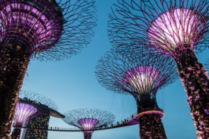 Supertrees Gardens by the Bay Singapur Highlights Sehenswürdigkeiten