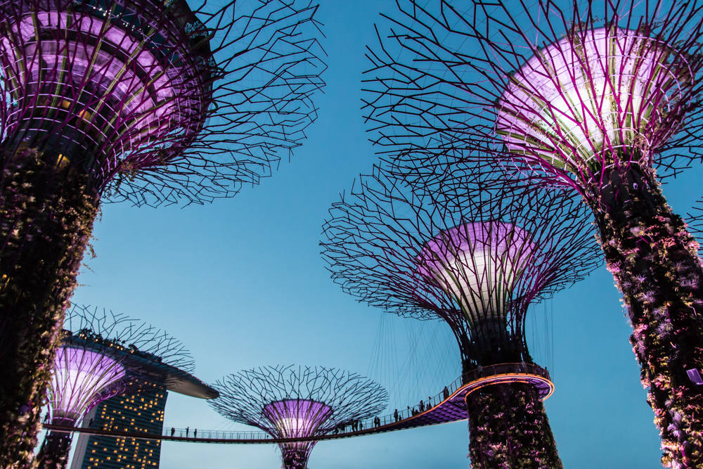 Supertrees Gardens by the Bay Singapur Highlights Sehenswürdigkeiten