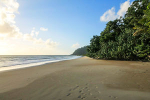 Cape Tribulation