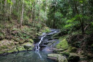 Konalilla Falls