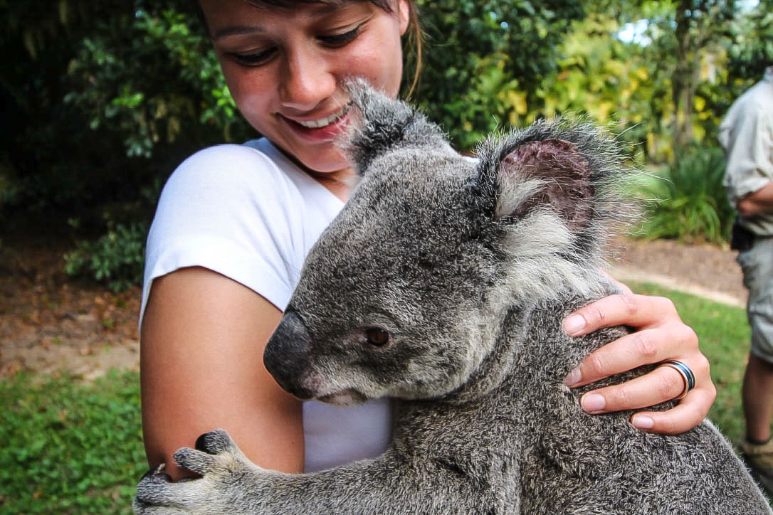 In Queensland, Australien