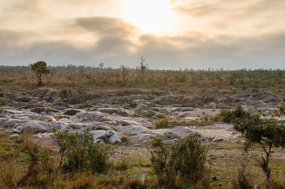 4-afrika-mosambik-natur-c-arianebille