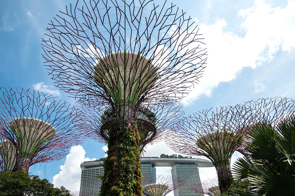 Singapore Supertrees