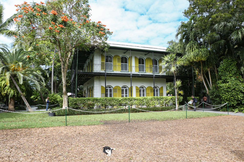 Ernest Hemingway House Key West Florida