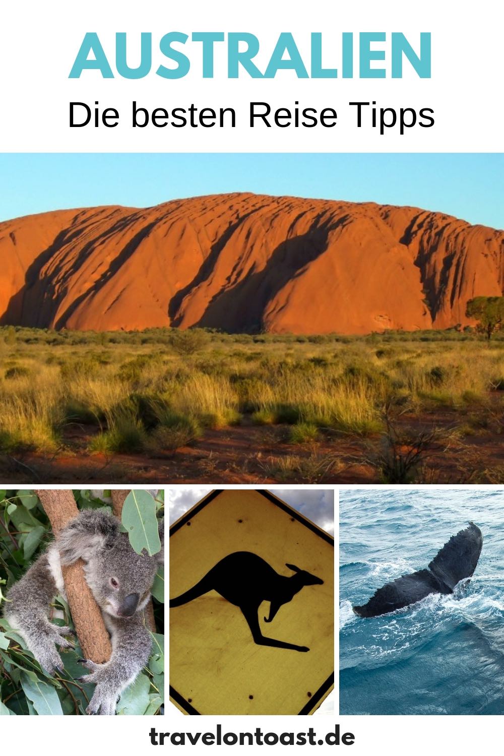 Australien Reise Tipps: Die Top 7 Highlights an der Ostküste Australiens - mit Sydney Tipps, Melbourne Tipps, Australien Natur an der Great Ocean Road, Great Barrier Reef, Walen und Koalas. Für eure Ostküste Rundreise! #Australien #Sydney #Melbourne