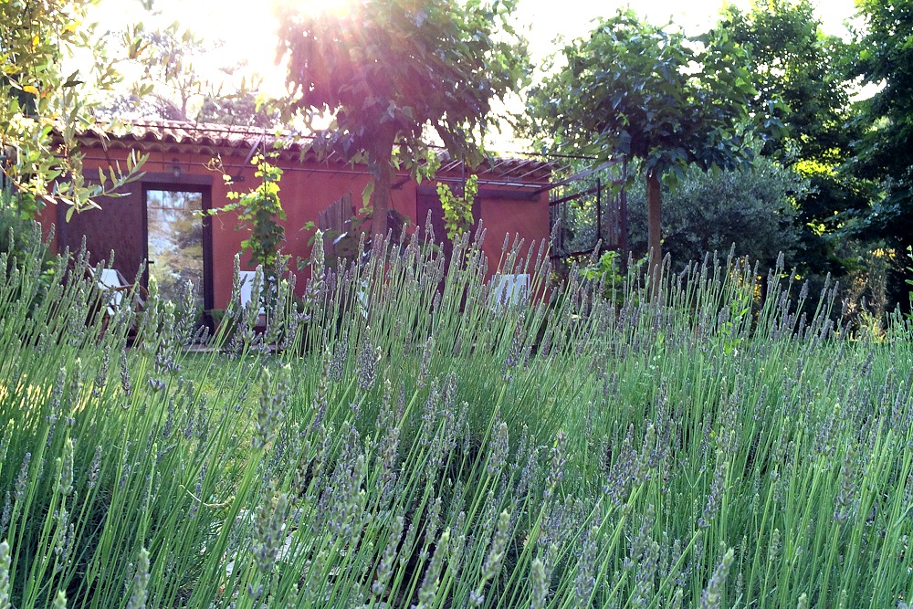 2 Provence Südfrankreich Frankreich Lavendel