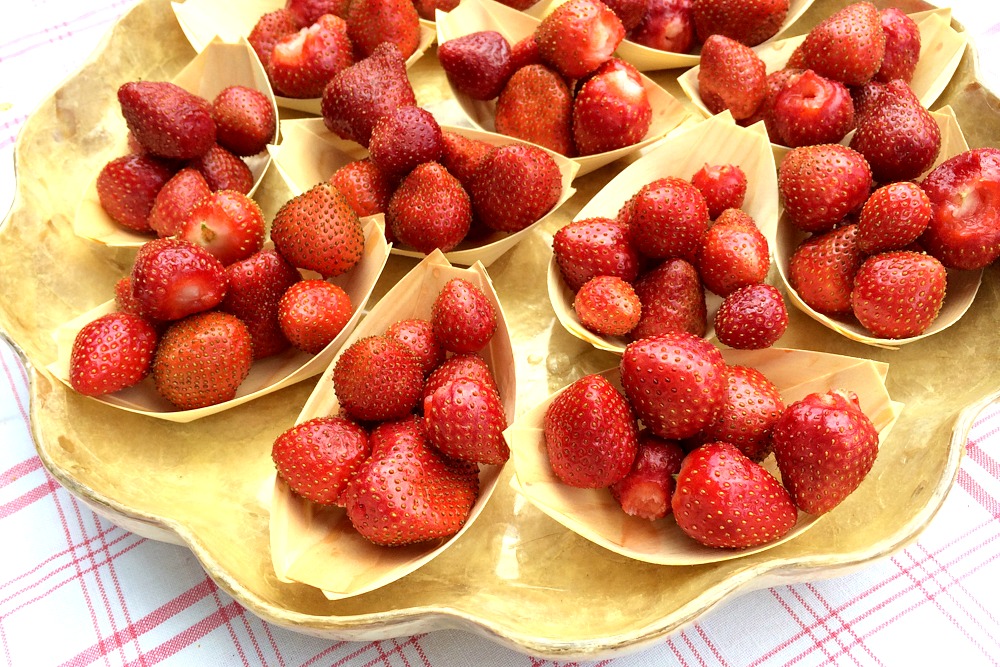 Erdbeeren Frankreich Südfrankreich Provence