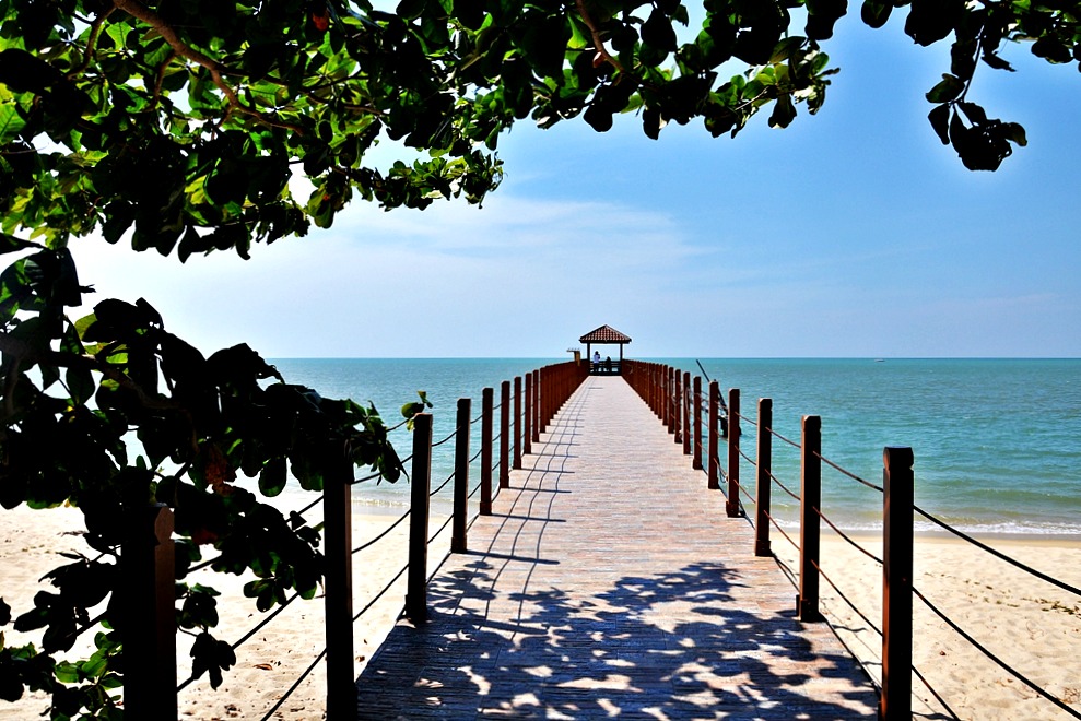 11 Strand Meer Turtle Beach Penang Nationalpark Malaysia