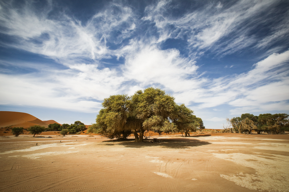 2-namibia-landschaft-namib-wueste