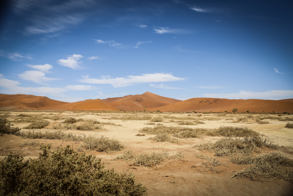 24-namibia-namib-wueste-sossusvlei