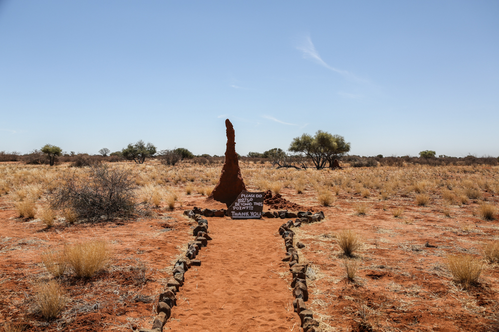 3-namibia-kalahariwueste-termiten