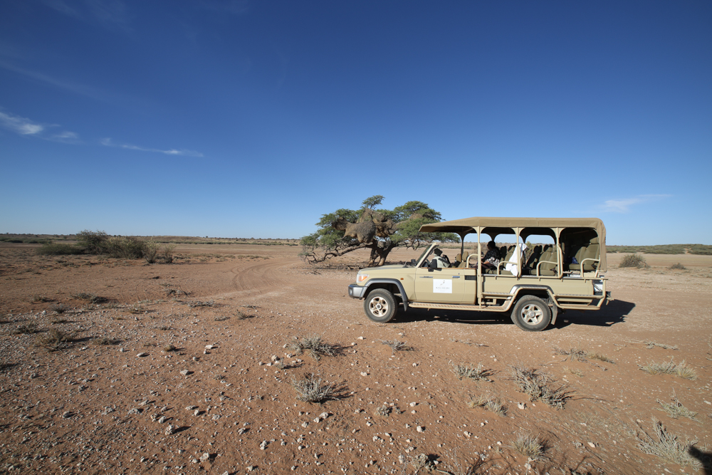 4-namibia-kalahari-wueste-jeep