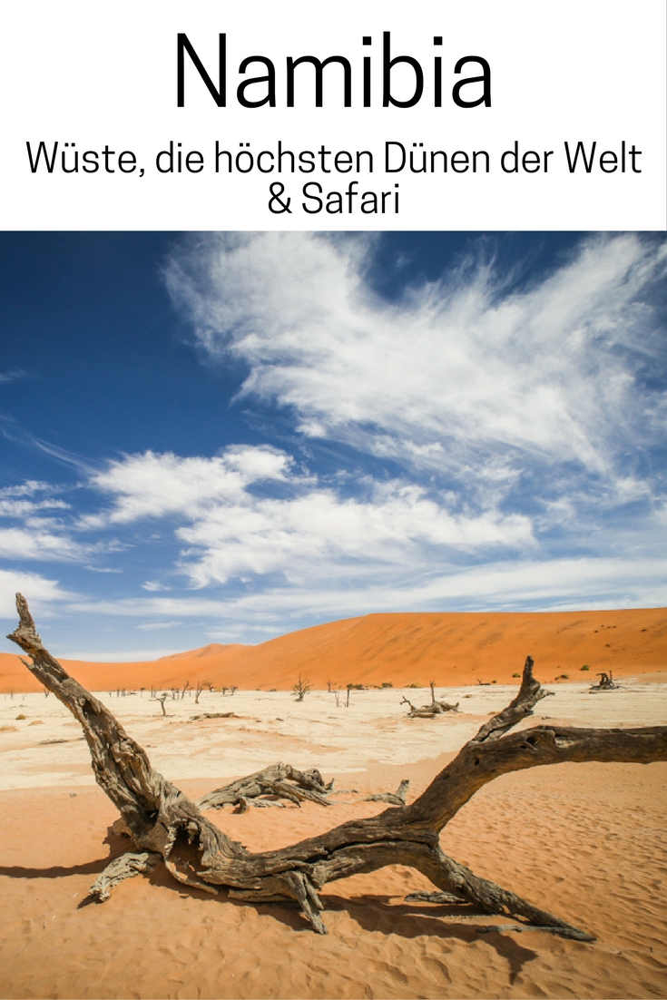 Namibia: Wüste, die höchsten Dünen der Welt & Safari. Lies mehr im Reiseblog zur Namib und Kalahari Wüste, Wildlife und Lodges.