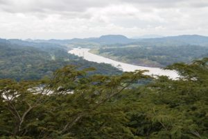 Regenwald in Gamboa