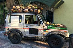 Kokosnusswagen in Key West