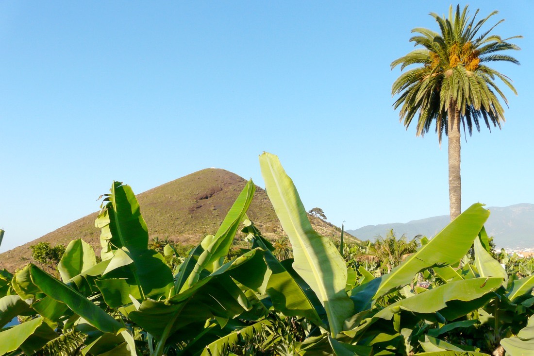 Kanareninsel Teneriffa