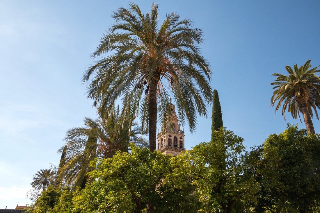 Mezquita-Catedral in Cordoba