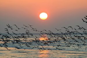 Sonnenuntergang auf holländischer Nordseeinsel