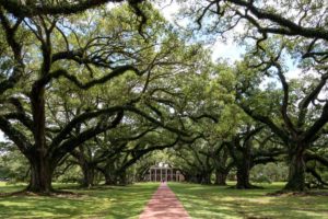 Plantage bei New Orleans