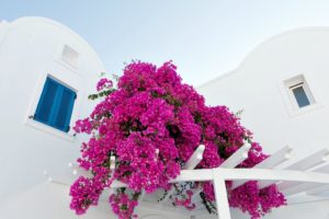 Farben von Santorini