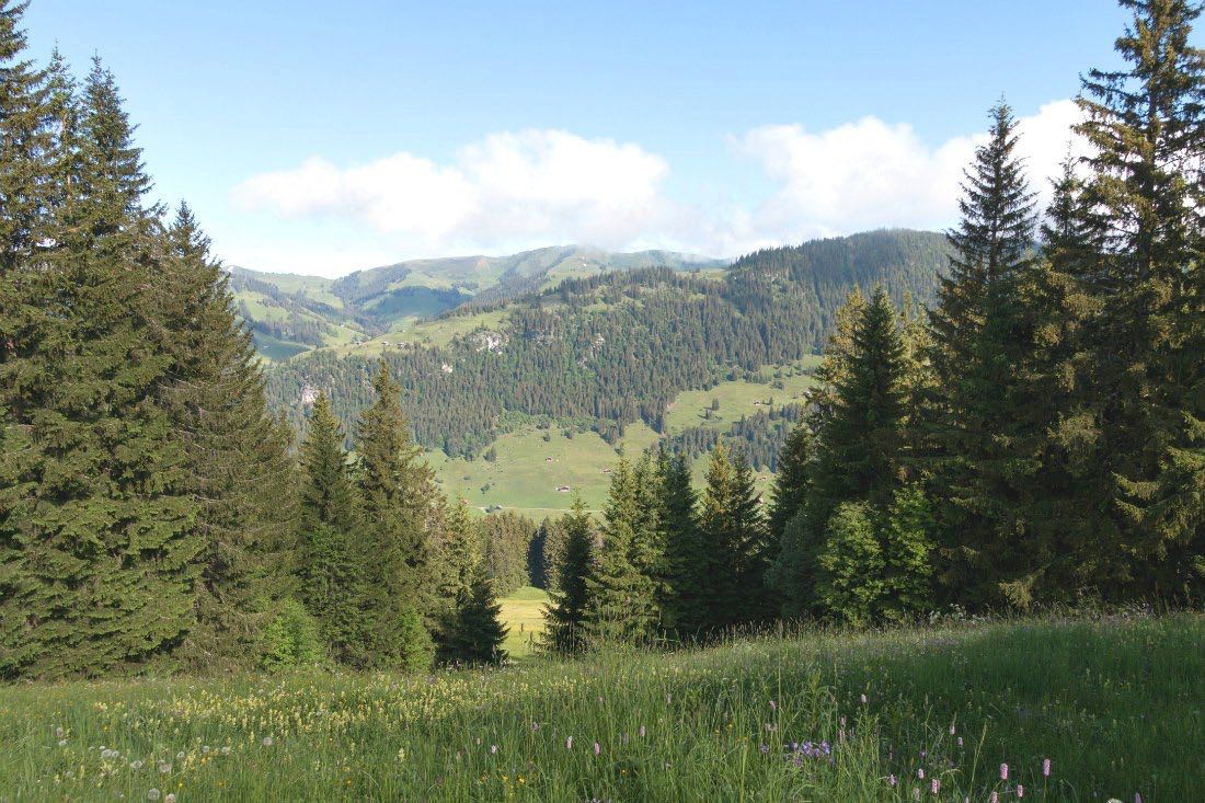 Rinderberg Swiss Alpine Lodge