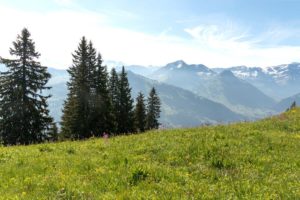 Bergblick in der Schweiz