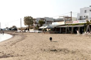 Strandrestaurant auf Naxos