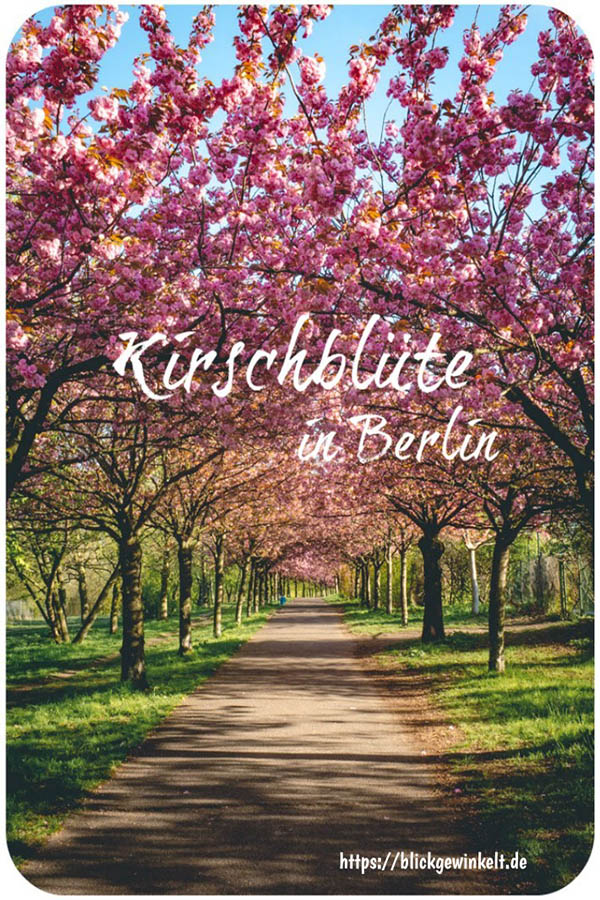 Sucht ihr nach Geheimtipps, um versteckte Orte oder besondere Erlebnisse in und um Berlin zu entdecken? Reisebloggerin und Reisebuchautorin Inka Chall verrät euch ihre Berlin Insider Tipps einer Einheimischen. Dazu gehört etwa die Kirschblüte in Berlin. #Berlin #Brandenburg #Ausflug #Wochenende #Reise #Reisen #Urlaub #Ferien