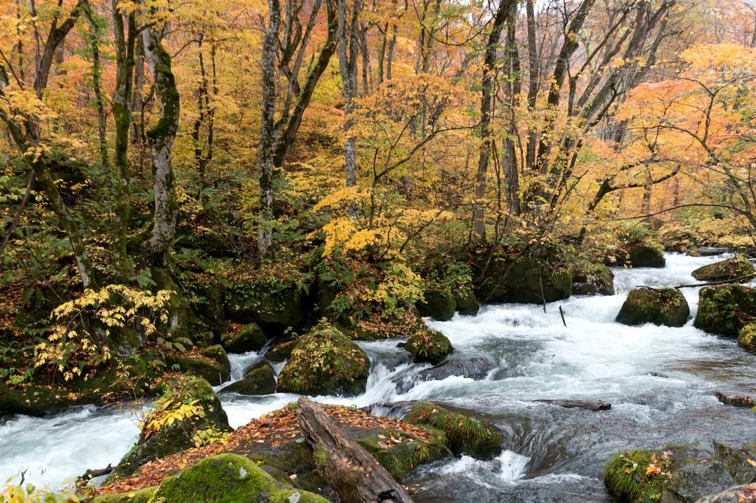 Oirase River in Northern Japan