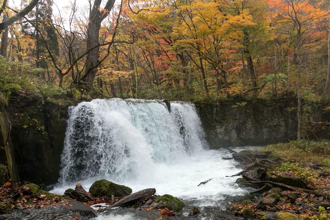 Oirase Fluss in Japan