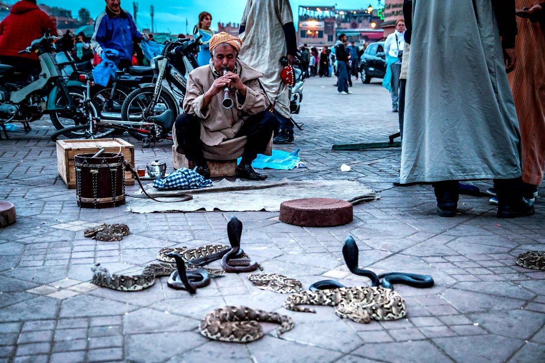 Schlangenbeschwörer in Marrakesch