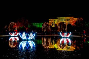 Christmas Garden Stuttgart