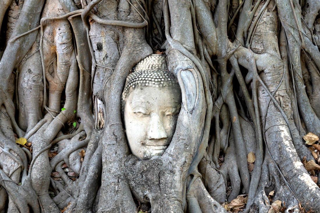 Ayutthaya Tagestour Thailand Urlaubstipps