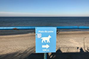 Reisen mit Hund Hundestrand Polen