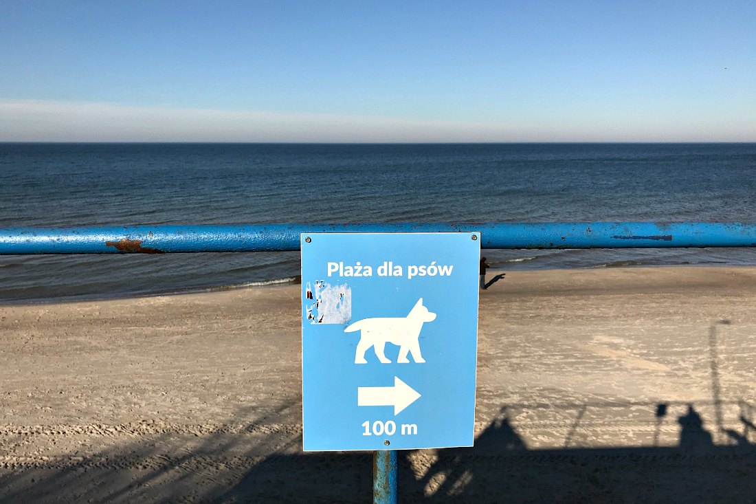 Reizen met hond Hondenstrand Polen