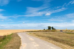 Urlaub mit Hund im Auto