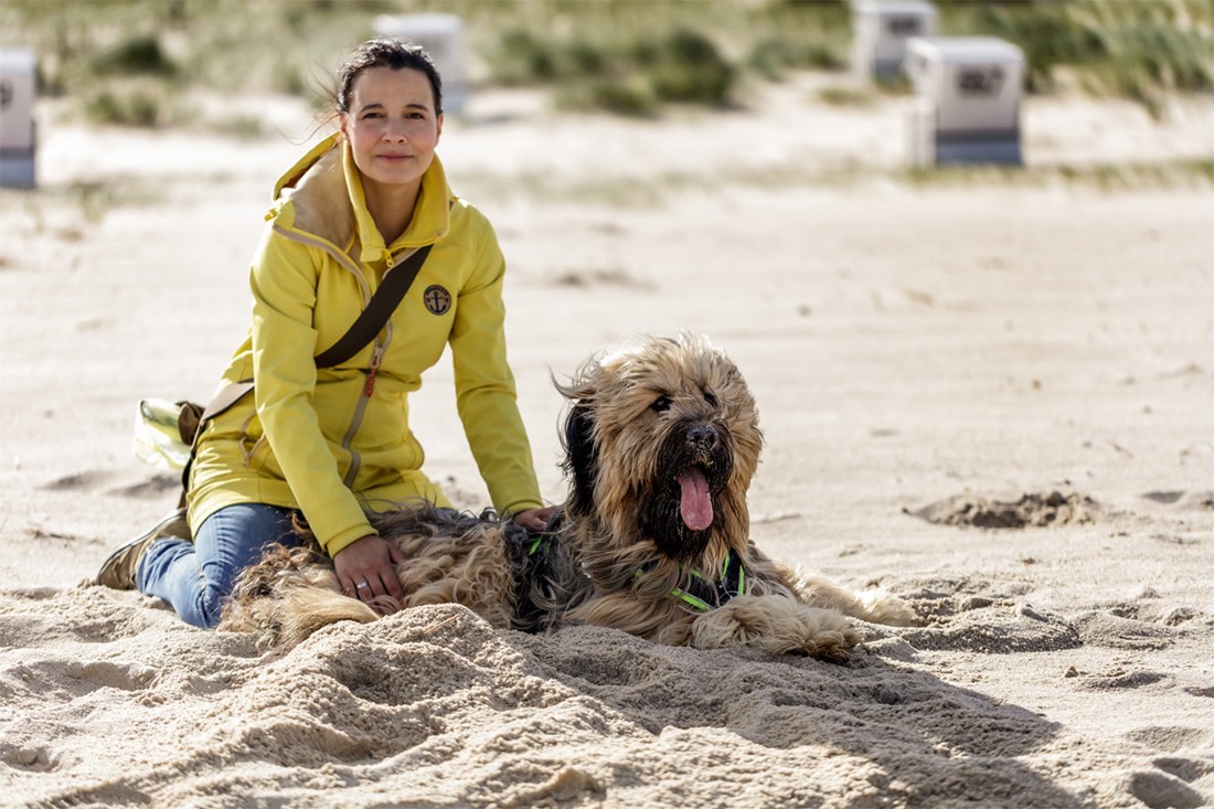 uitgehongerd inhalen oplichter Hondenvakantie: de 14 mooiste reisbestemmingen met een hond - Reizen en  avontuur