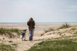 Hundeurlaub in der Normandie Frankreich