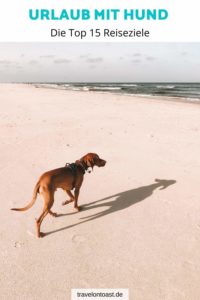 Hol dir die besten Tipps von Bloggern für den Hundeurlaub. Die allerschönsten Ziele für Urlaub mit Hund – ob Deutschland oder Niederlande, Ostsee oder Berge, Ferienhaus oder Campingplatz. Der ein oder andere Geheimtipp für Ferien mit Hund ist auch dabei! #UrlaubmitHund