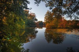 DeWittsee Ausflüge Niederrhein