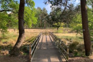 Premium-Wanderweg Galgenvenn Ausflugsziele Niederrhein