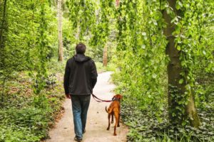 Ausflug mit Hund in die Natur
