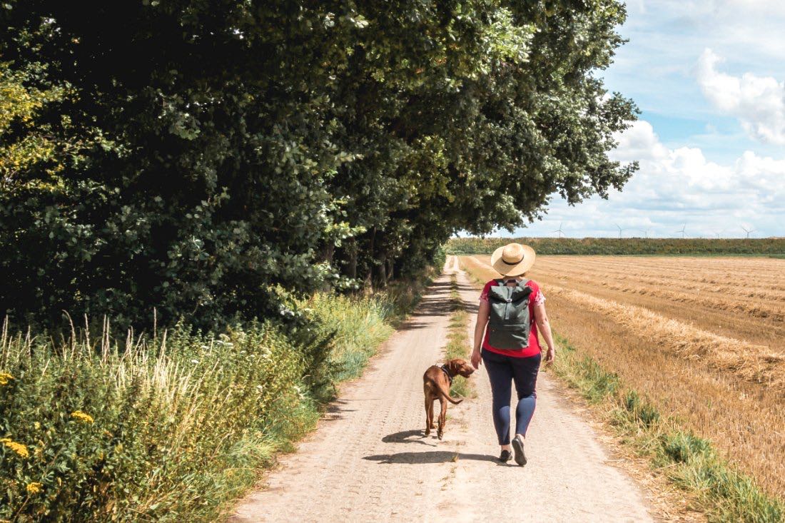 Leben & Reisen – was sich mit Hund ändert