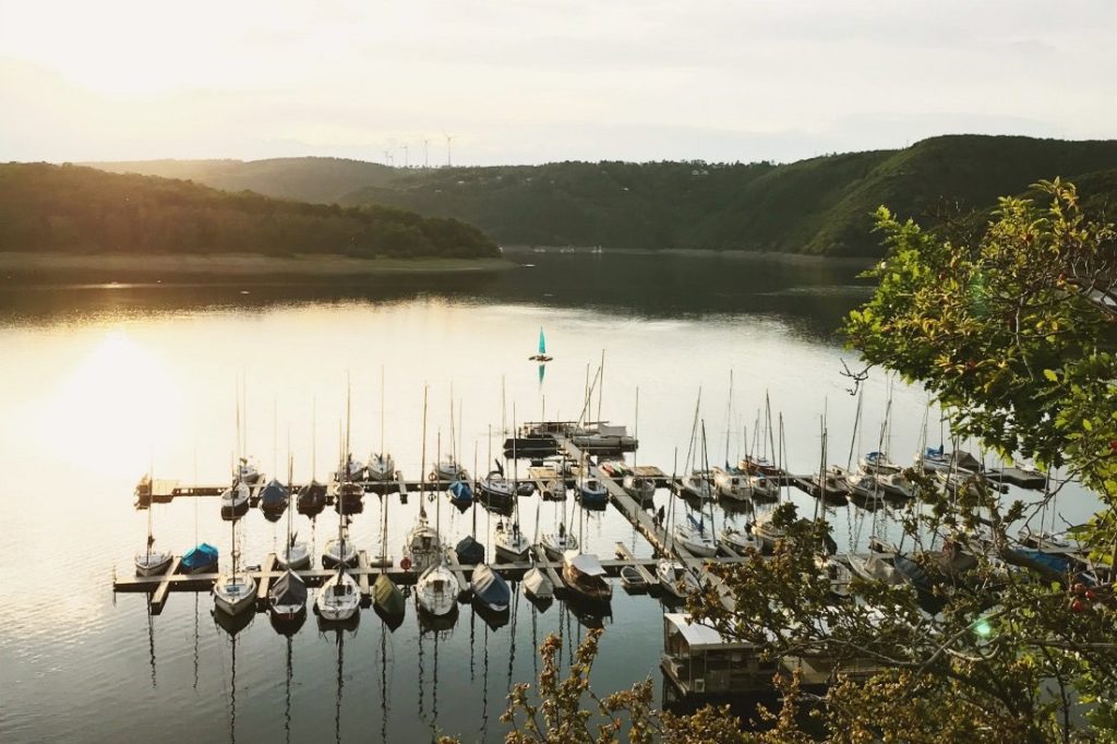 Eifel mit Hund Kurzurlaub am Rursee (mit Video) Travel on Toast