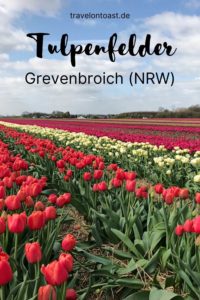 Was ihr sicher aus Holland kennt, könnt ihr auch in Deutschland erleben. Genauer gesagt in NRW. Die Tulpenfelder in Grevenbroich sind toll für einen Ausflug im Frühling!