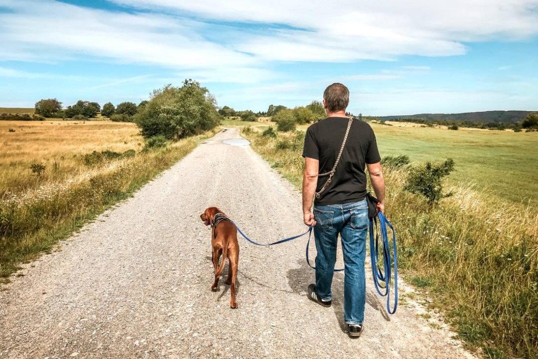 Eifel Hund: Kurzurlaub am Rursee (mit Video)