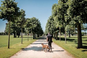 Ausflug mit Hund nach Xanten